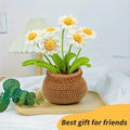DIY Crochet Animal Kit With Hand Knitting Yarn Needles Plush Doll Easy for Starter Includes Unfinished Material Package